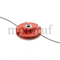 Jardin Tête à fils