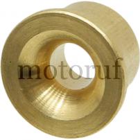 Jardin Oeillet à fil