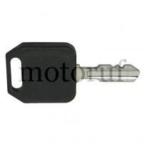 Gardening and Forestry Ignition key