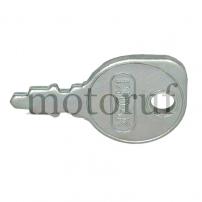 Gardening and Forestry Ignition key