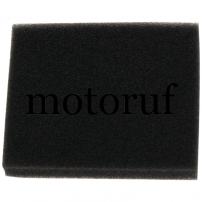 Jardin Filtre à air