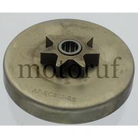 Jardin Pignon de chaîne