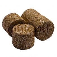 Jouets Balles rondes