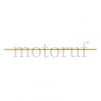 Jardin Manche de balai