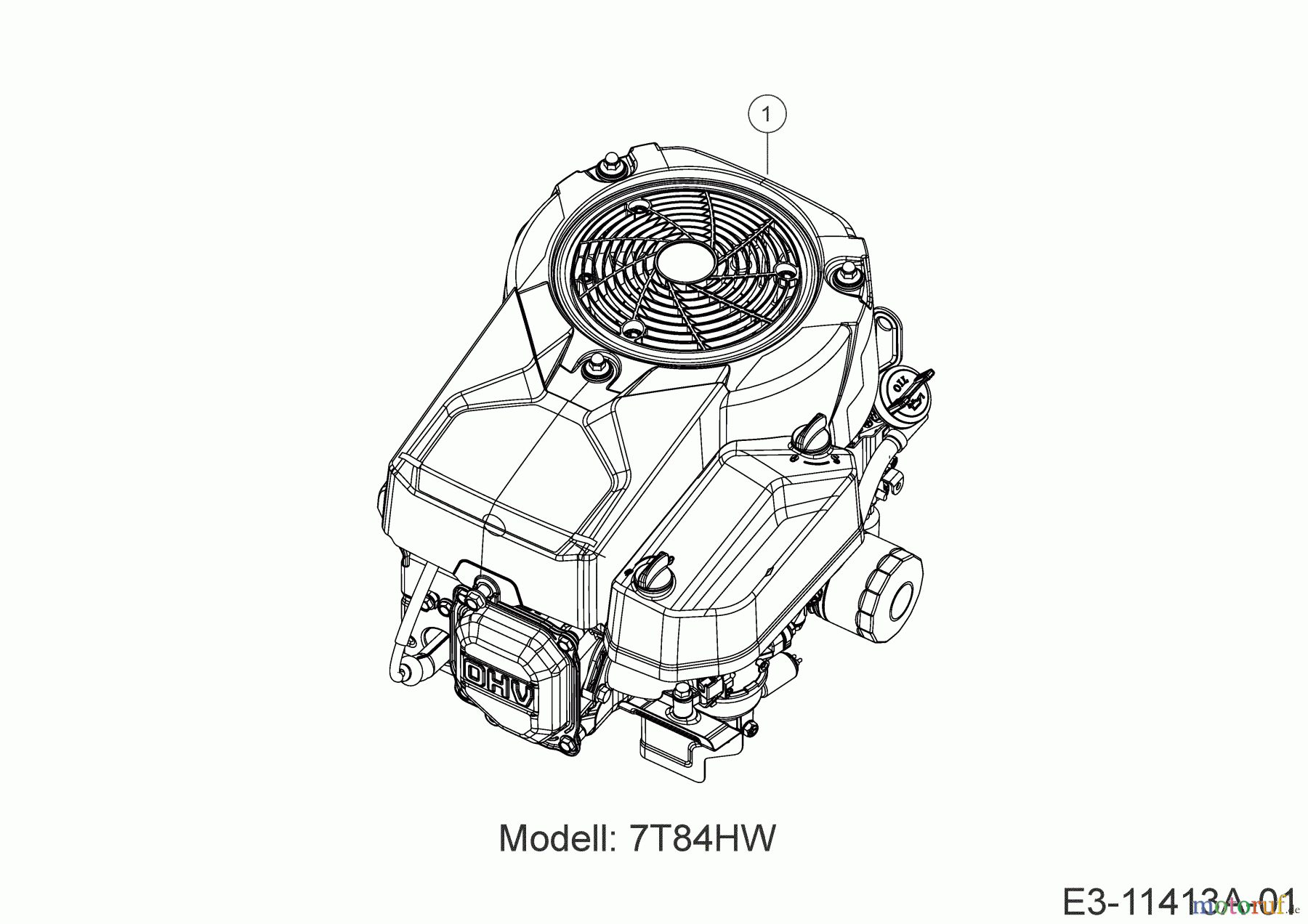  Wolf-Garten Tracteurs de pelouse 92.130 T 13A776WE650  (2020) Moteur