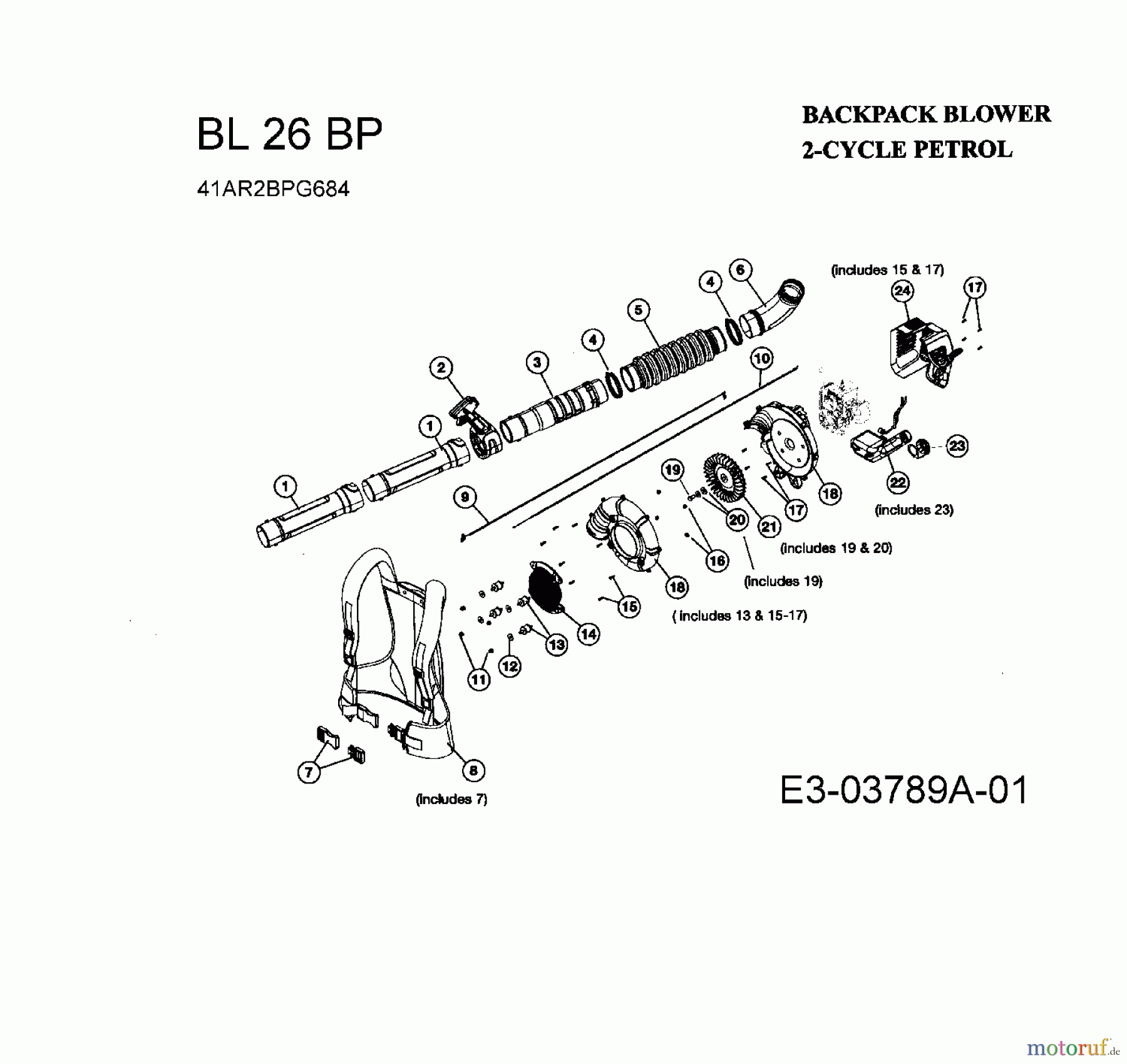  Bolens Souffleur de feuille, Aspirateur de feuille BL 26 BP 41AR2BPG684  (2008) Machine de base