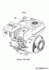 MTD T/330 M 21D-33MV678 (2018) Listas de piezas de repuesto y dibujos Engine MTD