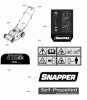 Snapper ESPV21675 (7800871) - 21" Walk-Behind Mower, 6.75GT Variable Speed (Export) Listas de piezas de repuesto y dibujos Decal Group