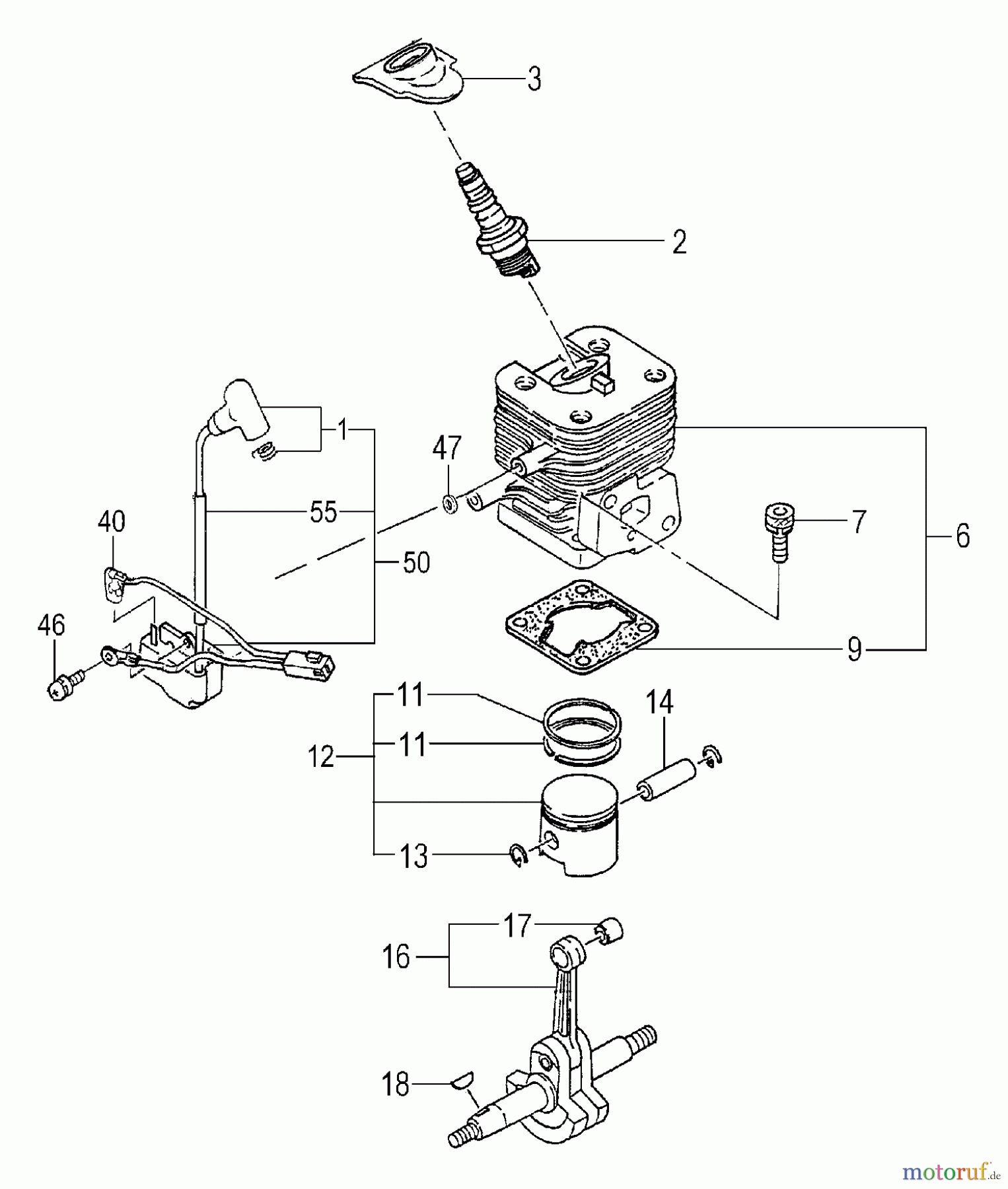 Tanaka Hochentaster DR-270PN - Tanaka Extended Reach Pole Saw Engine/Cylinder, Piston, Crankshaft, Ignition