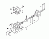 Tanaka TPS-270PF - Extended Reach Pole Saw Listas de piezas de repuesto y dibujos Engine / Crankcase, Flywheel