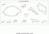 Toro 20089 - 22" Recycler Lawn Mower, 2008 (280000001-280999999) Pièces détachées ENGINE GASKET SET BRIGGS AND STRATTON 126L05-0213-F1